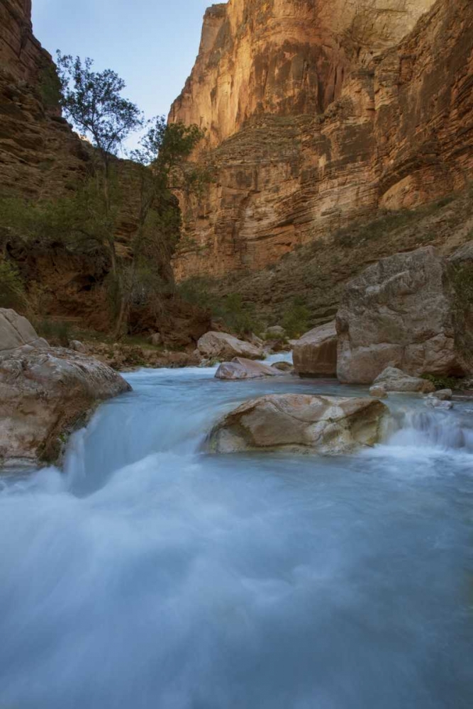 Wall Art Painting id:128371, Name: AZ, Grand Canyon, Havasu Creeks through a gorge, Artist: Grall, Don