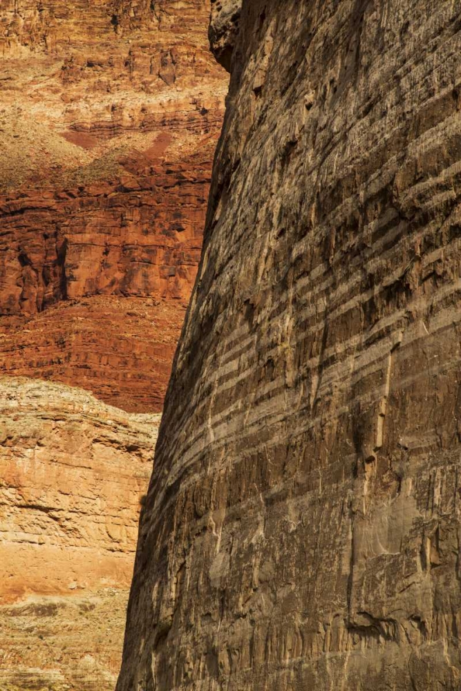 Wall Art Painting id:128409, Name: AZ, Grand Canyon, Sandstone wall in Marble Canyon, Artist: Grall, Don