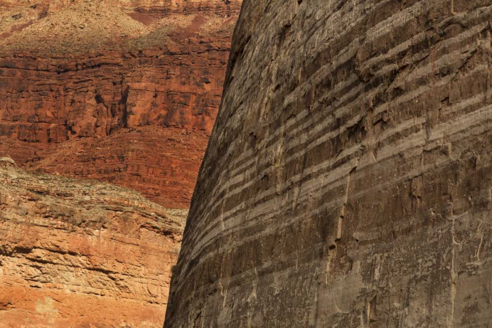 Wall Art Painting id:128410, Name: AZ, Grand Canyon, Sandstone wall in Marble Canyon, Artist: Grall, Don