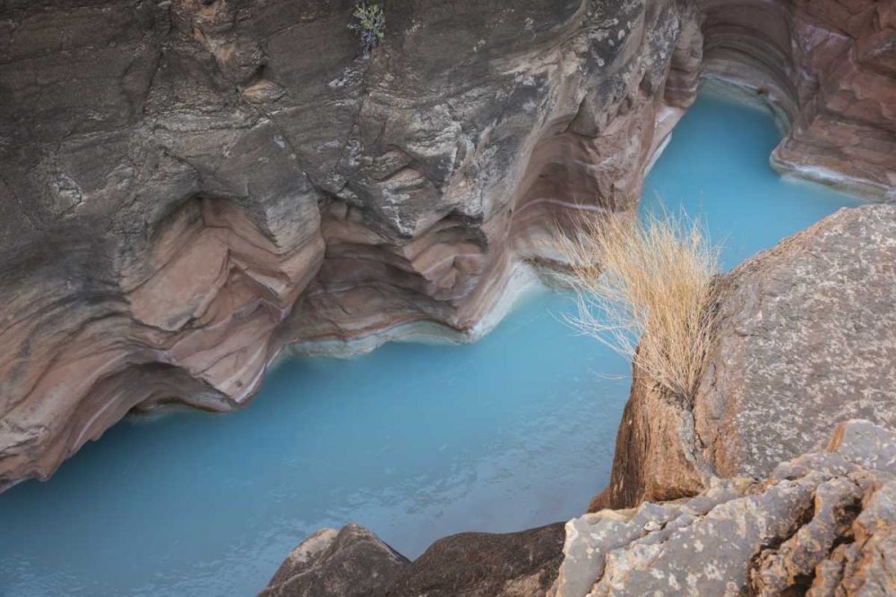 Wall Art Painting id:128372, Name: AZ, Grand Canyon, Havasu Creeks through a gorge, Artist: Grall, Don