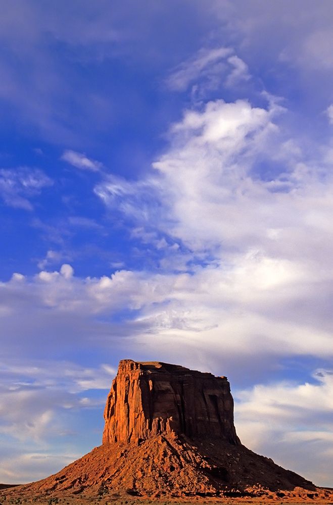 Wall Art Painting id:404698, Name: Arizona-Monument Valley Wilson Butte landscape , Artist: Jaynes Gallery