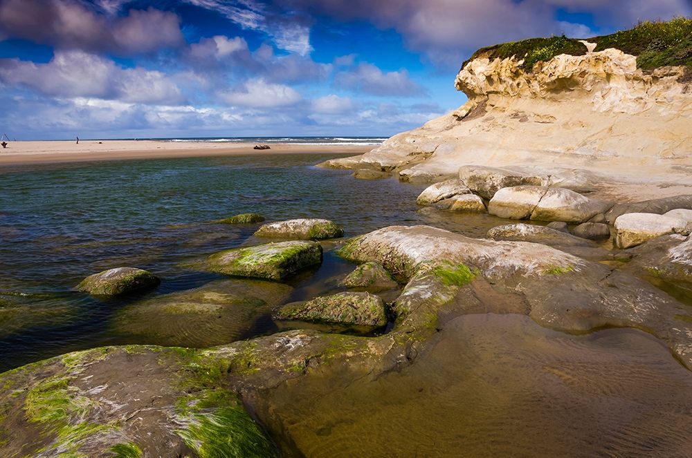 Wall Art Painting id:404847, Name: San Gregorio Beach-Big Sur-California-USA, Artist: Miller, Anna