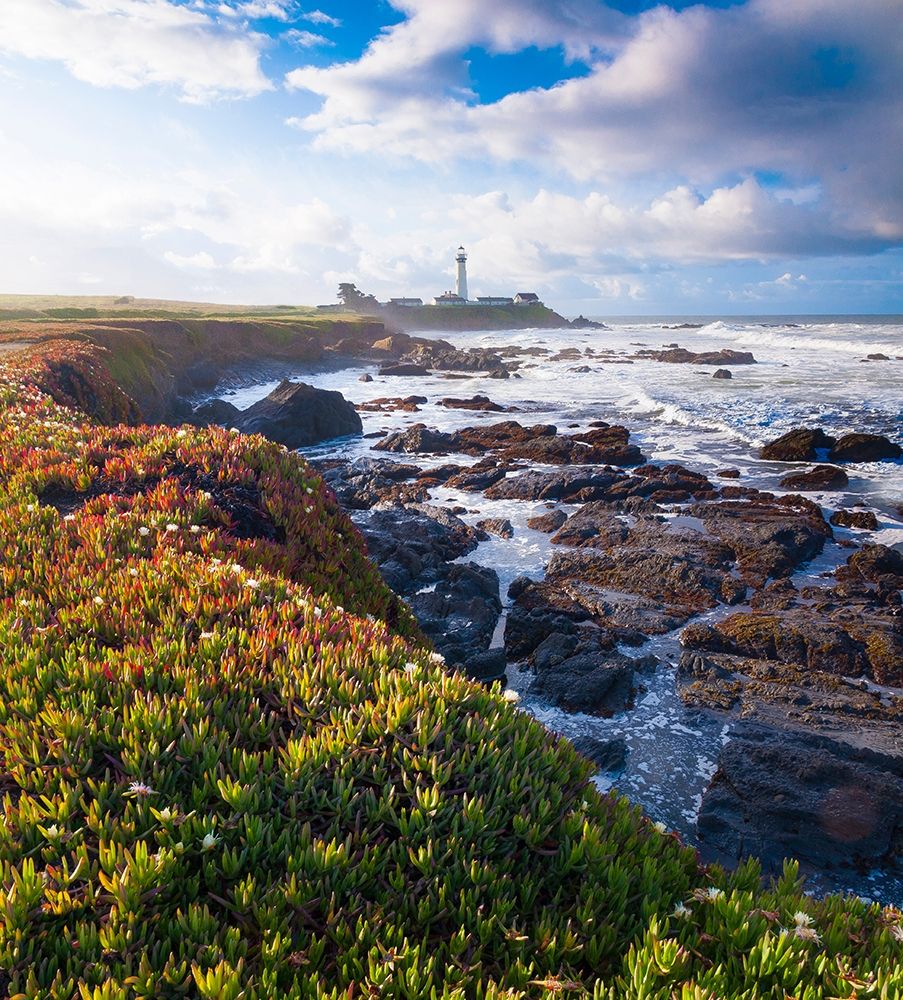 Wall Art Painting id:404856, Name: Pigeon Point Lighthouse-Big Sur-California-USA, Artist: Miller, Anna