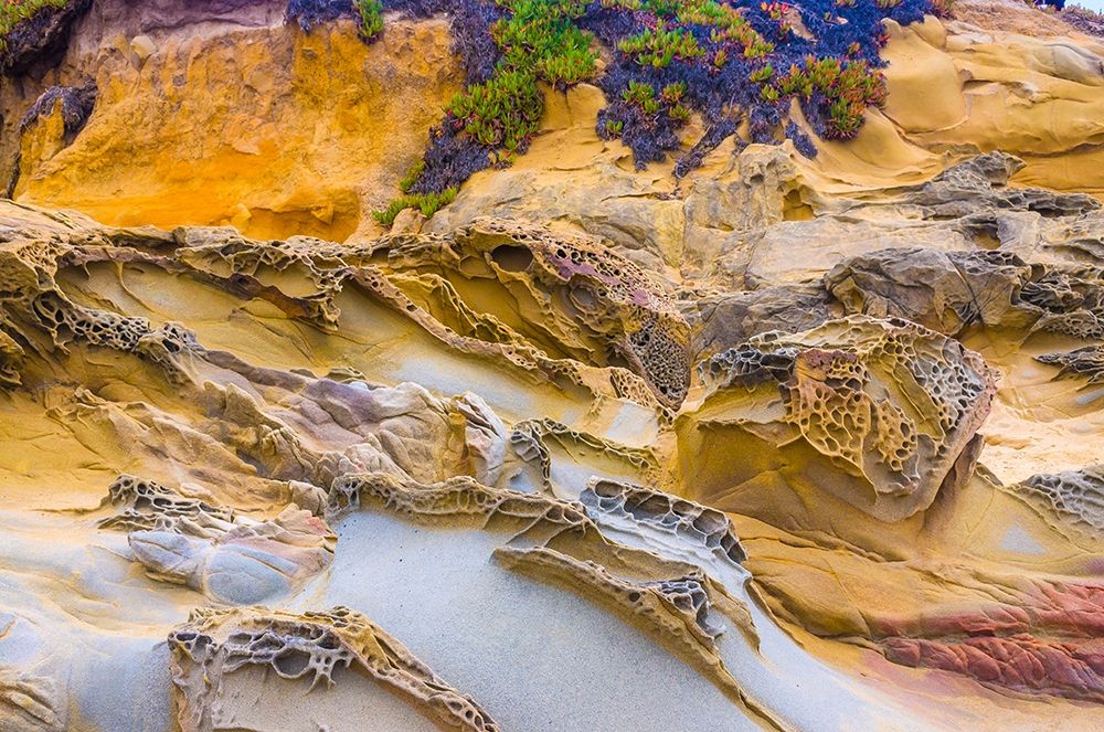 Wall Art Painting id:404857, Name: Rocky Formations at Bean Hollow Beach-California-USA, Artist: Miller, Anna