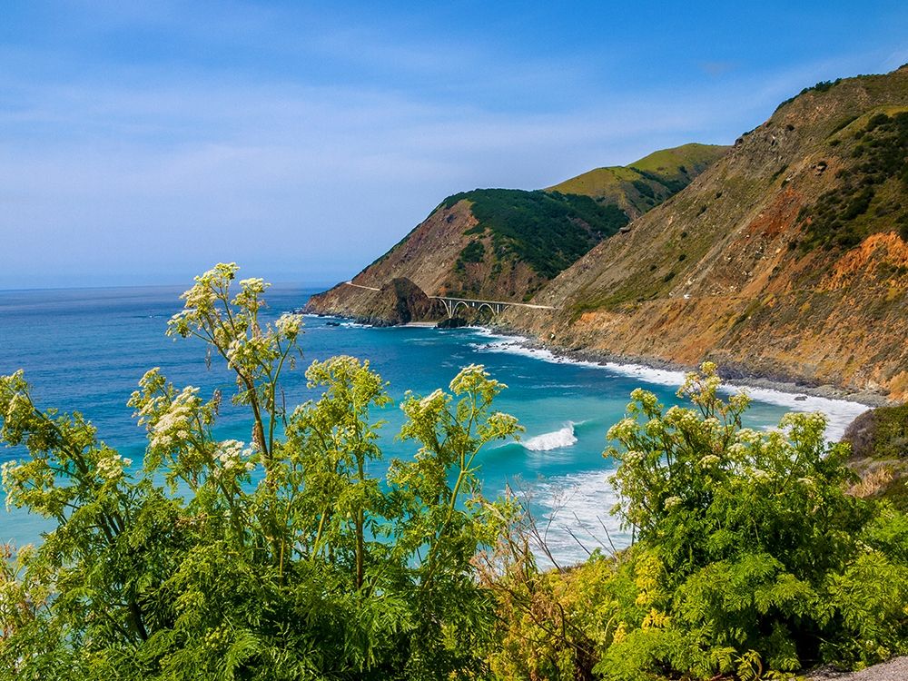 Wall Art Painting id:404864, Name: Big Sur Coastal Cliffs-California-USA, Artist: Miller, Anna