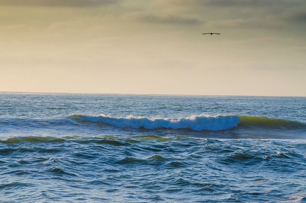 Wall Art Painting id:404870, Name: Large Waves on Rockaway Beach-Pacifica-California-USA, Artist: Miller, Anna