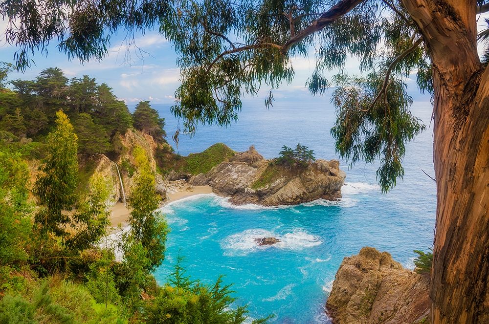 Wall Art Painting id:404884, Name: McWay Falls-Julia Pfeiffer Burns State Park-Big Sur-California-USA, Artist: Miller, Anna