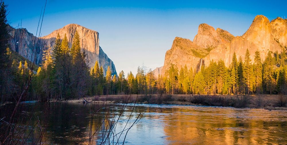 Wall Art Painting id:404915, Name: Merced River-Yosemite National Park-California-USA, Artist: Miller, Anna