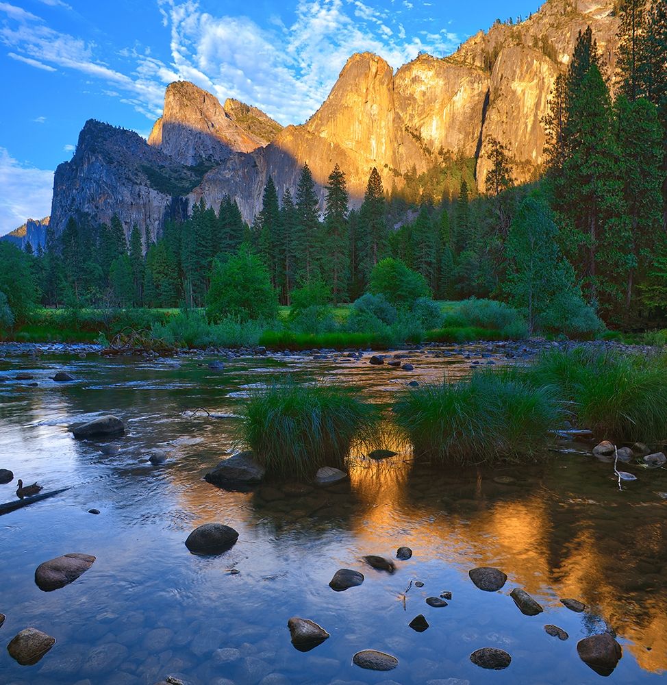 Wall Art Painting id:404916, Name: Merced River-Yosemite National Park-California-USA, Artist: Miller, Anna