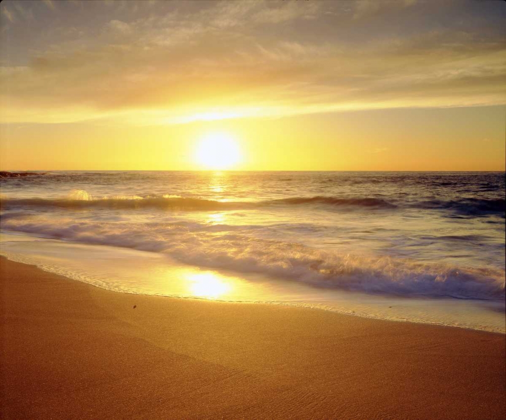 Wall Art Painting id:135080, Name: CA, San Diego La Jolla Shores beach at sunset, Artist: Talbot Frank, Christopher