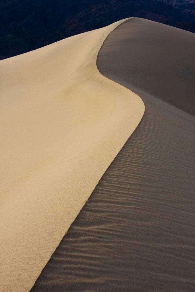 Wall Art Painting id:136495, Name: CA, Death Valley NP Dune ridge in morning light, Artist: Young, Bill