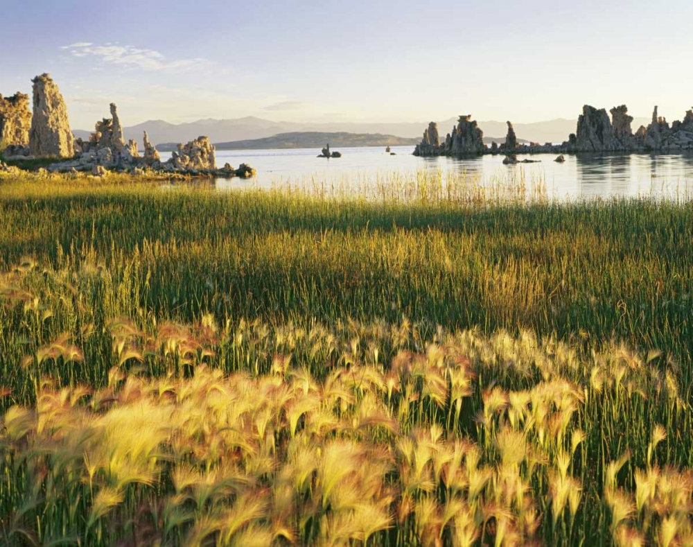 Wall Art Painting id:127475, Name: CA, Eastern Sierras, Mono Lake landscape, Artist: Flaherty, Dennis