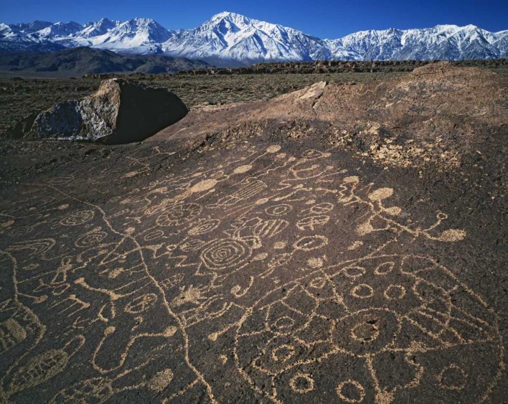 Wall Art Painting id:127859, Name: CA, Bishop, Sierra Mts Curvilinear petroglyphs, Artist: Flaherty, Dennis