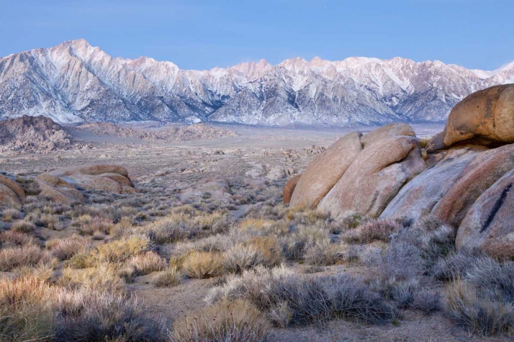 Wall Art Painting id:132006, Name: California Lone Pine Peak and Mt Whitney, Artist: Paulson, Don