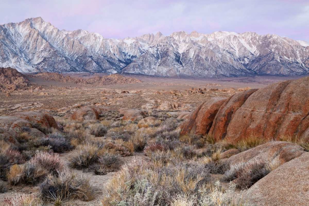 Wall Art Painting id:132008, Name: California Lone Pine Peak and Mt Whitney, Artist: Paulson, Don