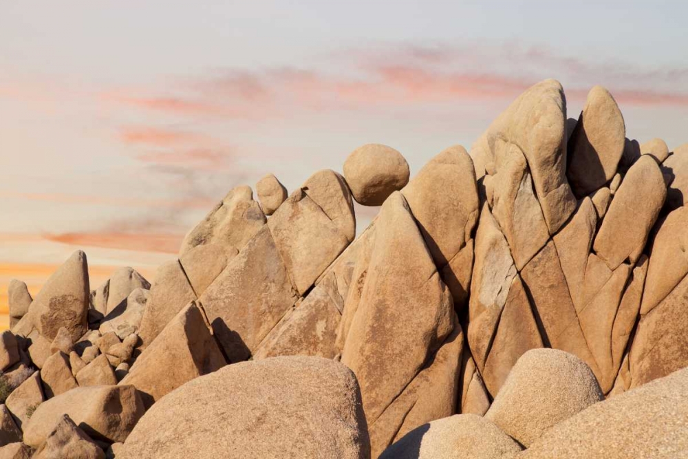 Wall Art Painting id:132931, Name: CA, Joshua Tree NP Rock atop boulder formation, Artist: Paulson, Don