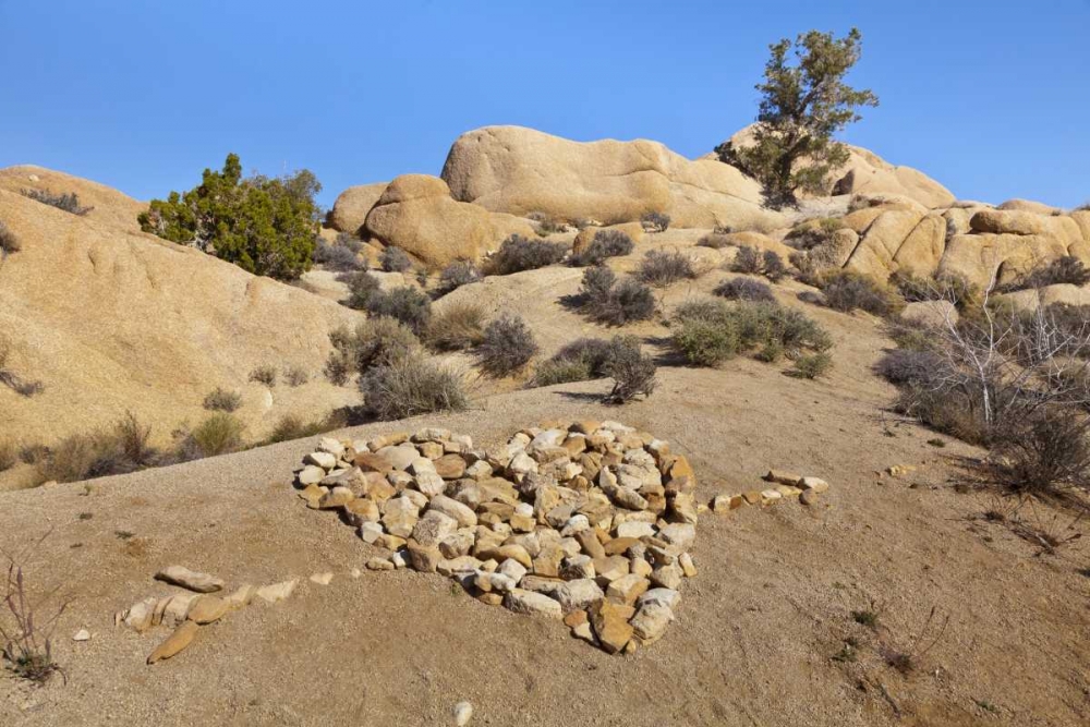 Wall Art Painting id:131884, Name: CA, Joshua Tree NP Stone heart pattern, Artist: Paulson, Don