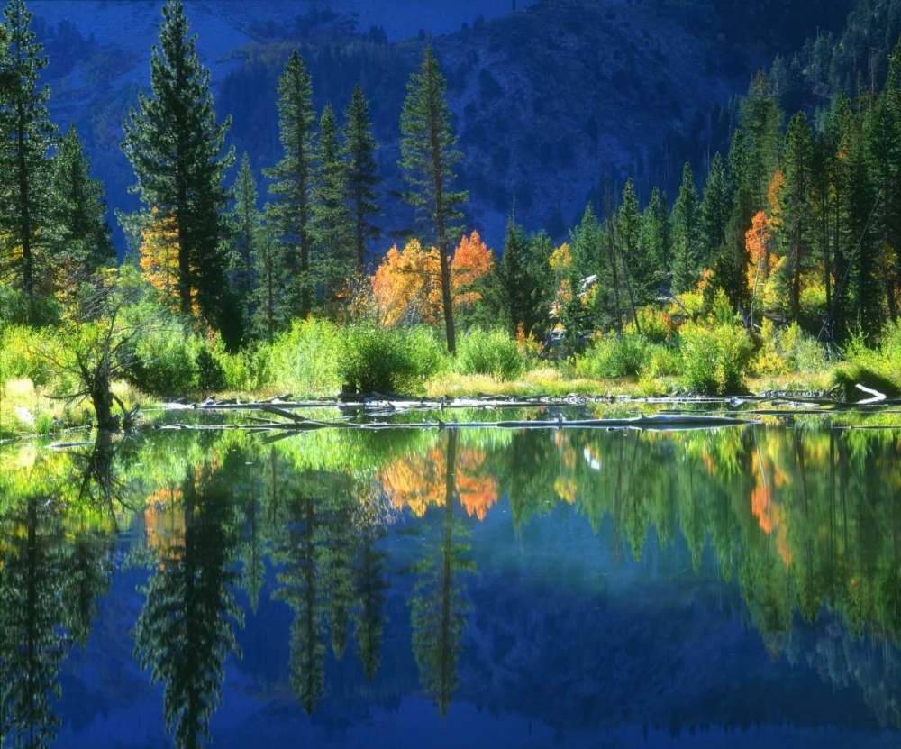 Wall Art Painting id:134899, Name: California, Sierra Nevada Mts, A beaver pond, Artist: Talbot Frank, Christopher