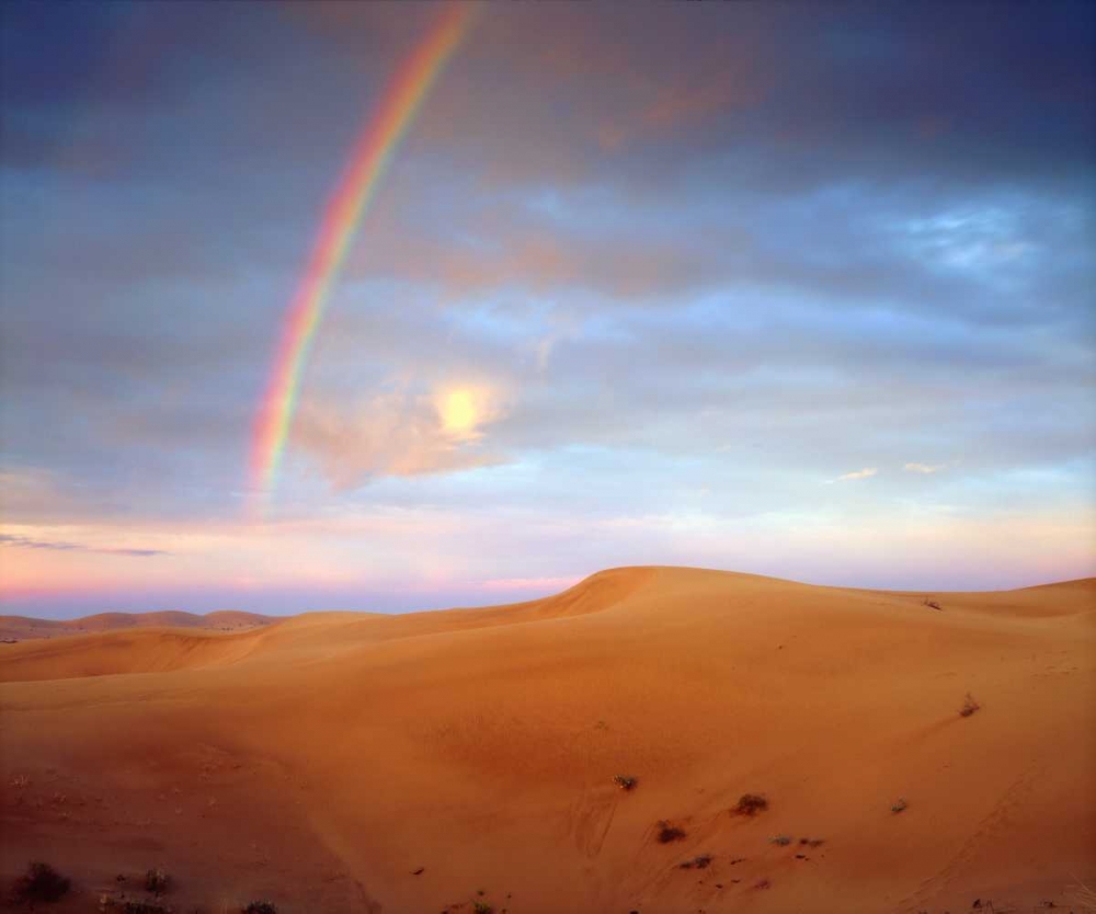 Wall Art Painting id:135140, Name: CA, A rainbow over Glamis Sand Dunes at Sunrise, Artist: Talbot Frank, Christopher