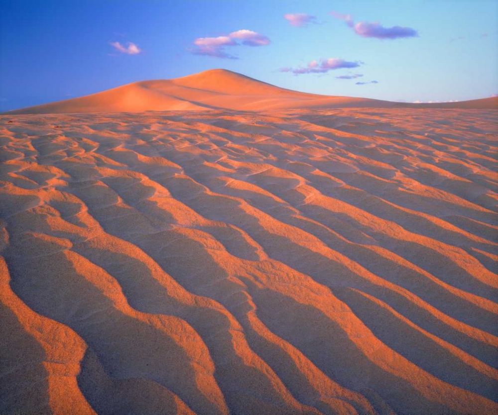 Wall Art Painting id:135094, Name: California, Dumont Dunes, Sand Dunes and Clouds, Artist: Talbot Frank, Christopher