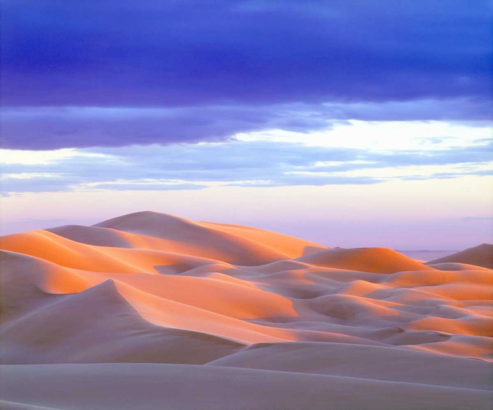 Wall Art Painting id:134882, Name: USA, California, Glamis Sand Dunes at sunset, Artist: Talbot Frank, Christopher