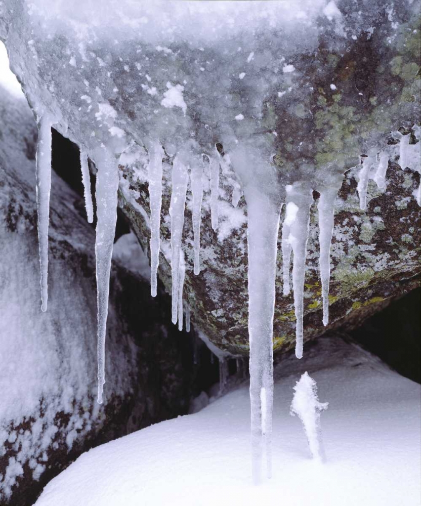 Wall Art Painting id:134735, Name: California, Icicles in the Cleveland NF, Artist: Talbot Frank, Christopher