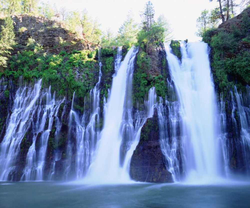 Wall Art Painting id:135116, Name: California, McArthur-Burney Falls, Burney Falls, Artist: Talbot Frank, Christopher