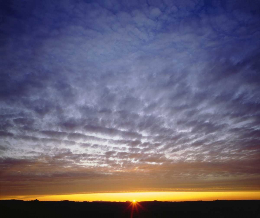 Wall Art Painting id:134686, Name: USA, California, San Diego, Clouds, Artist: Talbot Frank, Christopher