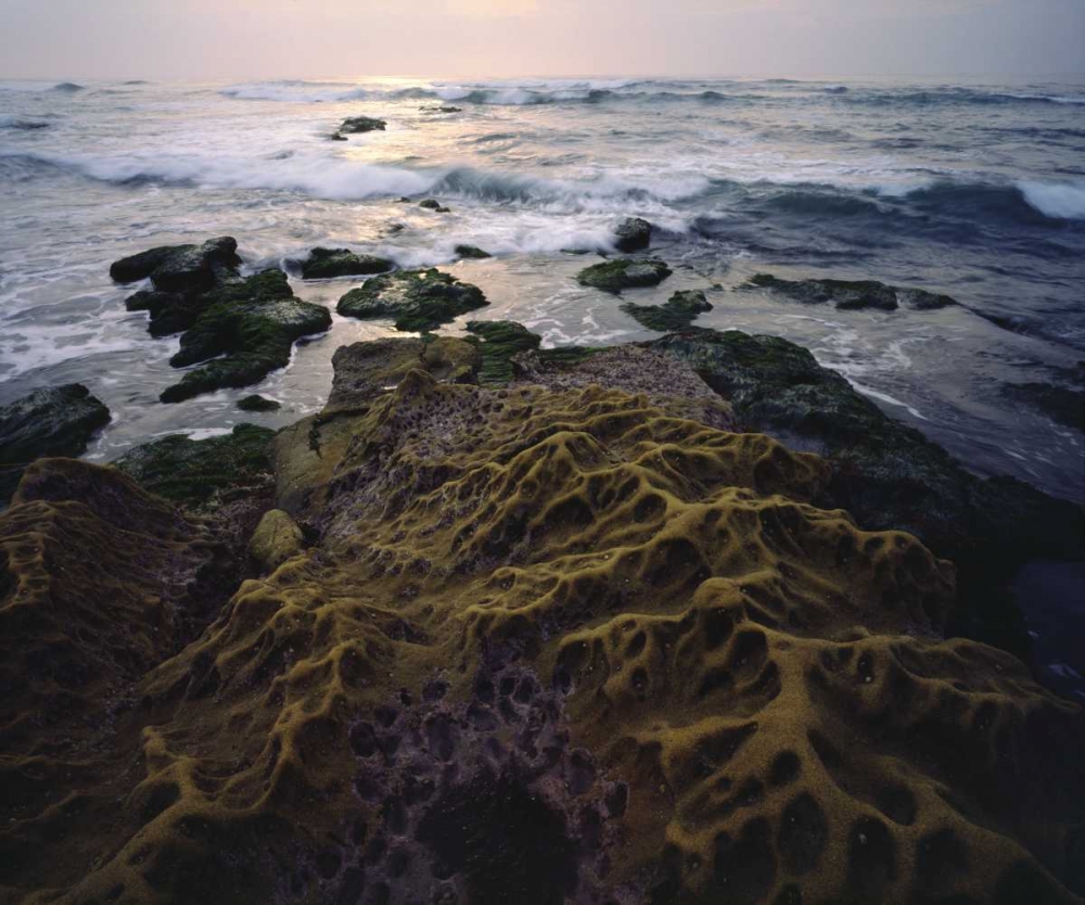 Wall Art Painting id:135304, Name: CA, San Diego, Sandstone formations on the Coast, Artist: Talbot Frank, Christopher