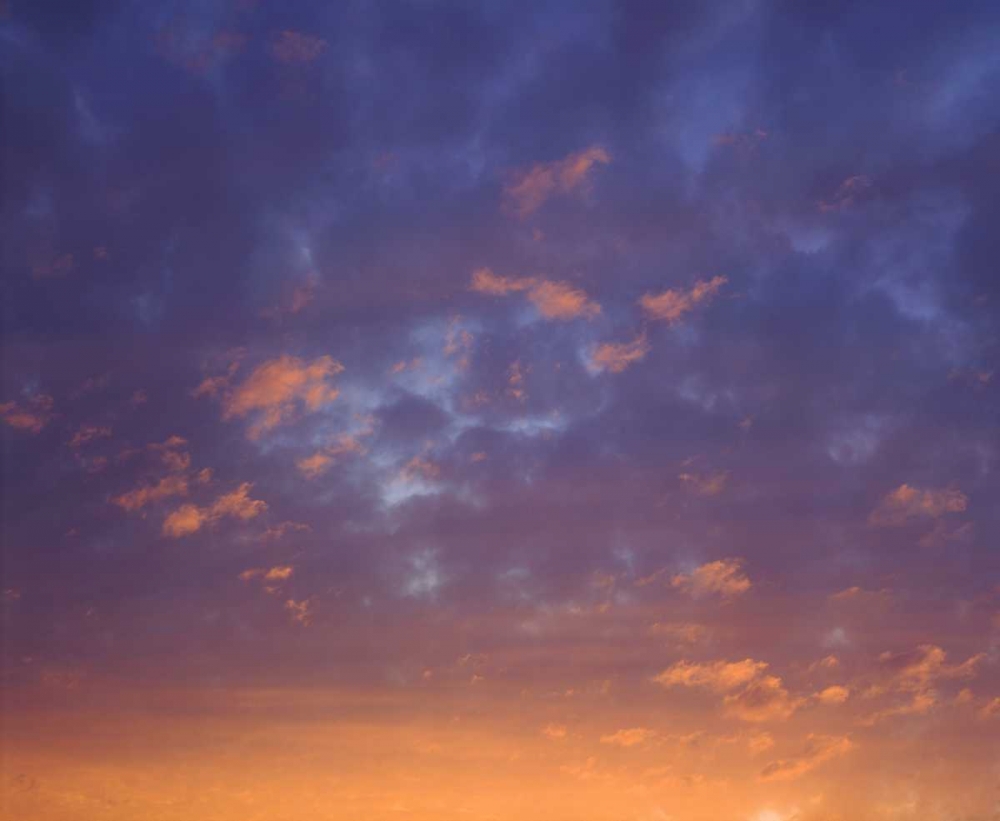 Wall Art Painting id:134781, Name: USA, California, San Diego, Sunset Clouds, Artist: Talbot Frank, Christopher