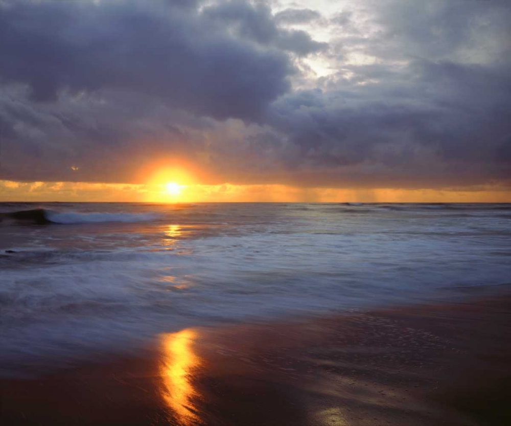 Wall Art Painting id:134807, Name: California, San Diego Sunset Cliffs beach, Artist: Talbot Frank, Christopher