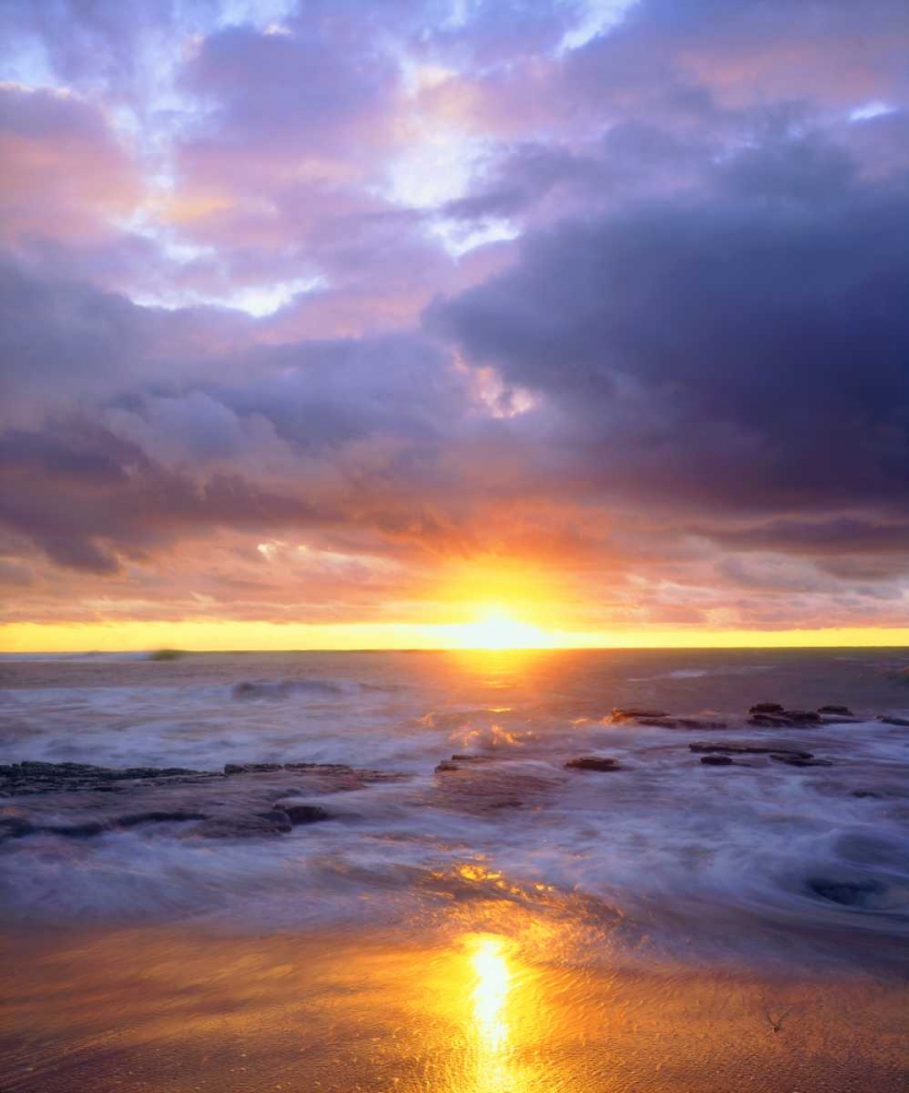 Similar wall art painting: 134809