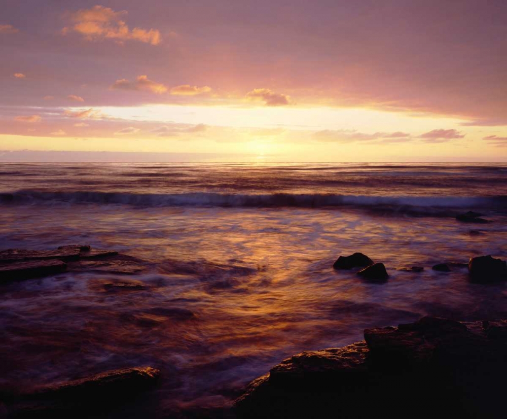 Wall Art Painting id:135042, Name: California, San Diego, Sunset Cliffs at Sunset, Artist: Talbot Frank, Christopher