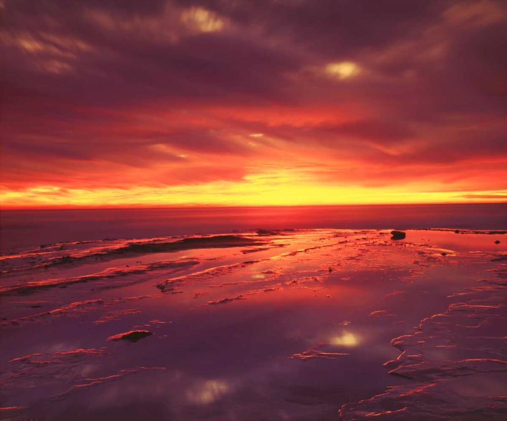 Wall Art Painting id:135384, Name: CA, San Diego, Sunset Cliffs tide pools at Sunset, Artist: Talbot Frank, Christopher