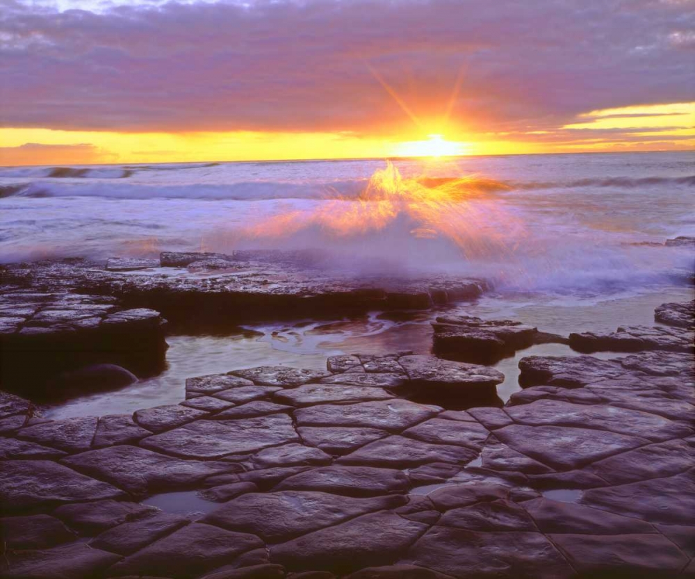 Wall Art Painting id:135385, Name: CA, San Diego, Sunset Cliffs tide pools at Sunset, Artist: Talbot Frank, Christopher