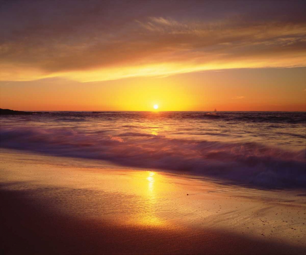 Wall Art Painting id:134690, Name: CA, La Jolla Shores Beach at sunset, Artist: Talbot Frank, Christopher