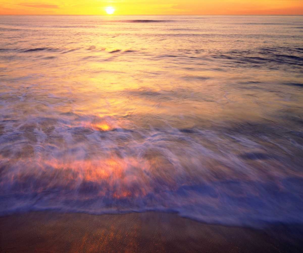 Wall Art Painting id:134927, Name: CA, San Diego Sunset Cliffs Beach at Sunset, Artist: Talbot Frank, Christopher