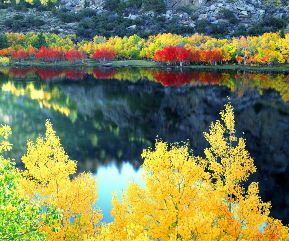 Wall Art Painting id:134745, Name: CA, Sierra Nevada, Autumn at Grant Lake, Artist: Talbot Frank, Christopher