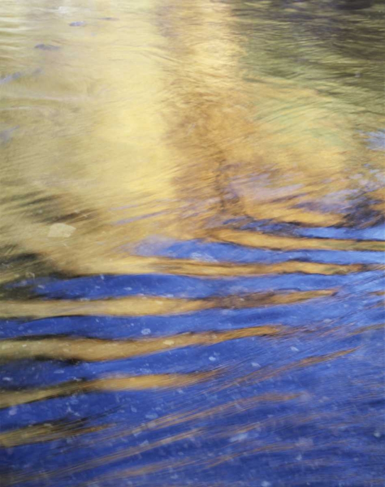 Wall Art Painting id:135282, Name: CA, Sierra Nevada, Autumn reflects in Rush Creek, Artist: Talbot Frank, Christopher