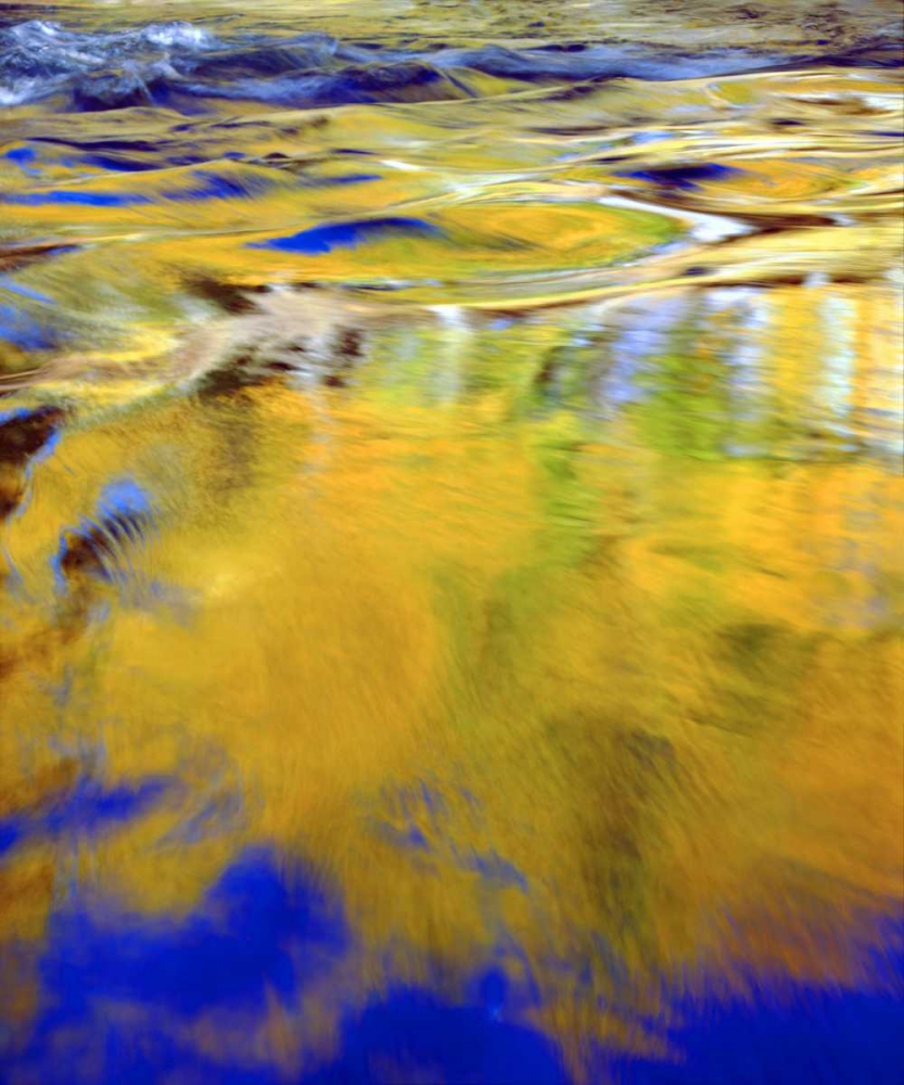 Wall Art Painting id:134841, Name: CA, Sierra Nevada, Autumn Forest Reflection, Artist: Talbot Frank, Christopher