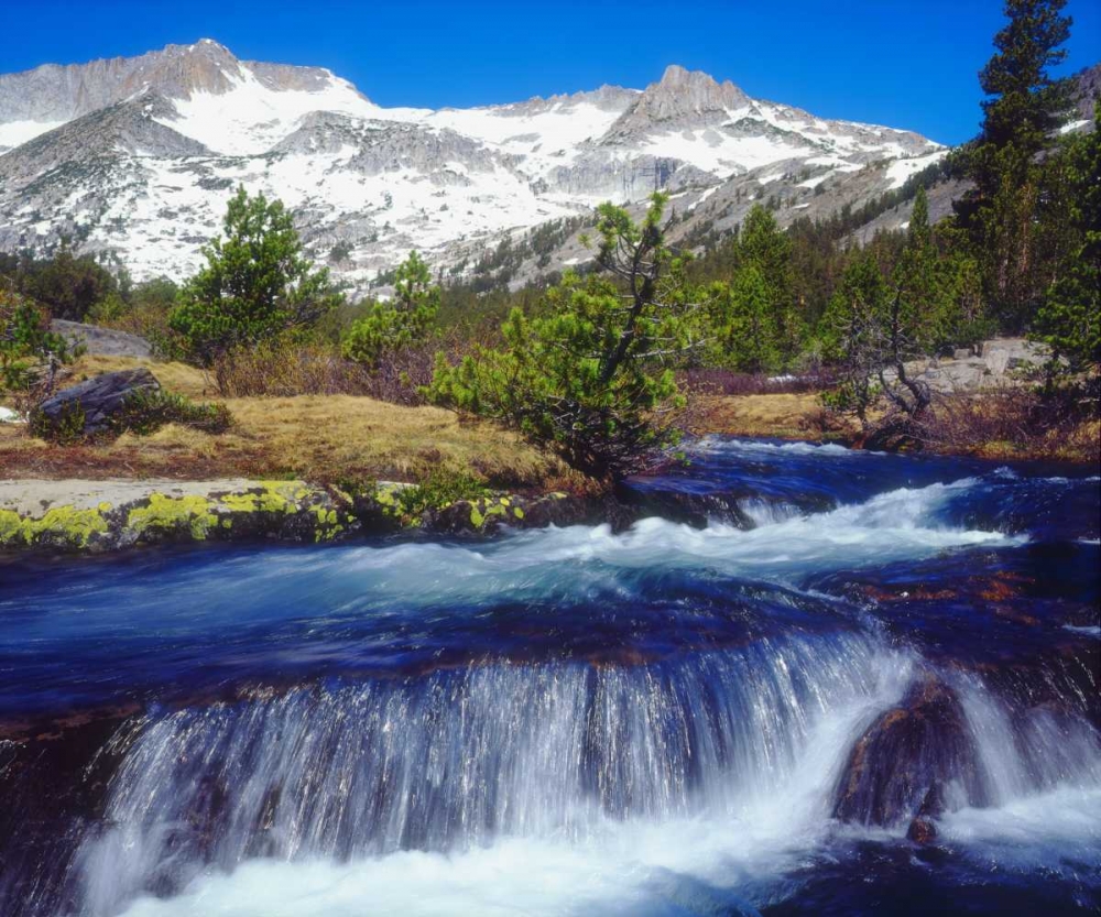 Wall Art Painting id:134979, Name: CA, Sierra Nevada A Creek in the High Sierra, Artist: Talbot Frank, Christopher