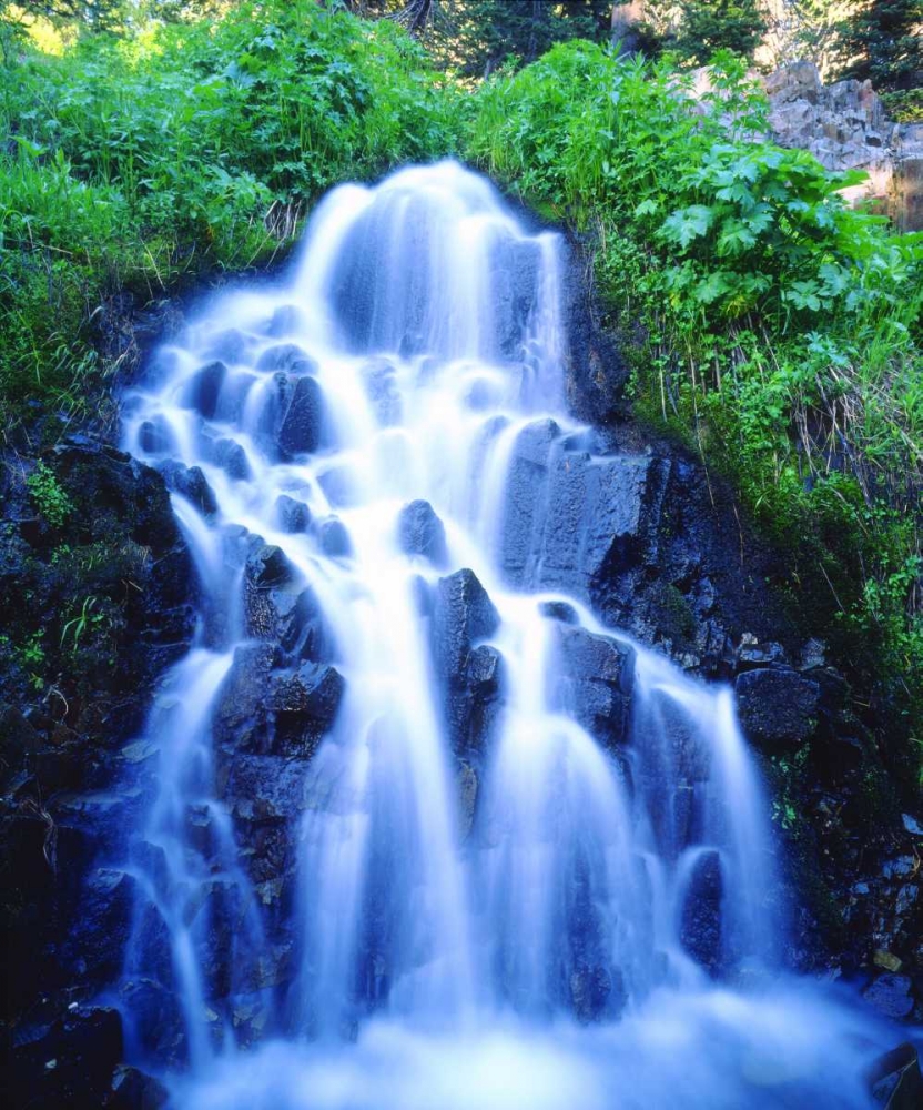 Wall Art Painting id:134915, Name: CA, Sierra Nevada Waterfall in Reds Meadow, Artist: Talbot Frank, Christopher