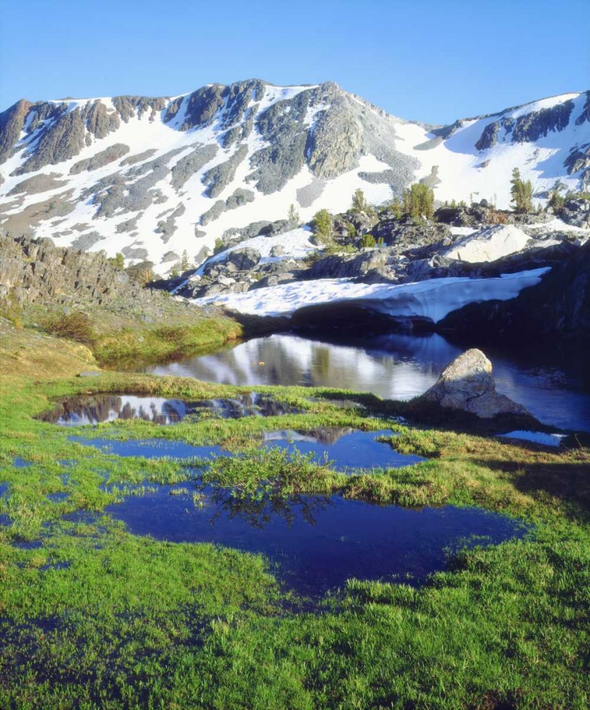 Wall Art Painting id:134764, Name: California, Sierra Nevada Mountain tarn, Artist: Talbot Frank, Christopher