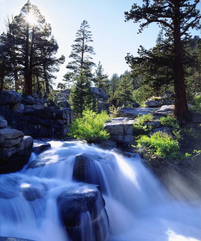 Wall Art Painting id:135372, Name: CA, Sierra Nevada A waterfall in the High Sierra, Artist: Talbot Frank, Christopher