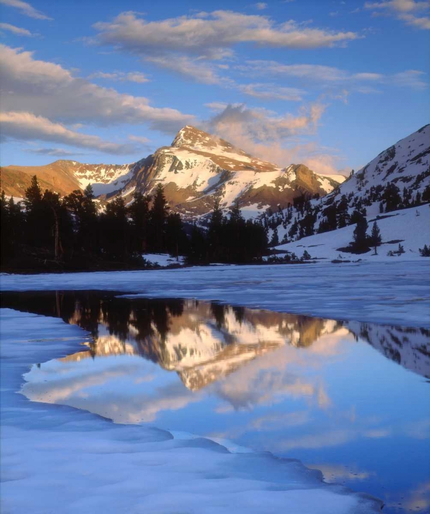 Wall Art Painting id:135295, Name: CA, Sierra Nevada Dana Peak above a frozen lake, Artist: Talbot Frank, Christopher