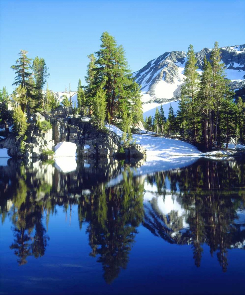 Wall Art Painting id:135292, Name: CA, Sierra Nevada Red firs reflecting in a tarn, Artist: Talbot Frank, Christopher