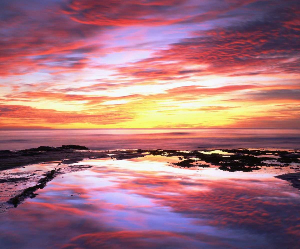 Wall Art Painting id:134794, Name: CA, Tide pools at sunset at Sunset Cliffs, Artist: Talbot Frank, Christopher