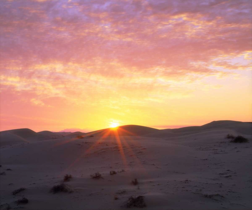 Wall Art Painting id:134933, Name: USA, California, Glamis Sand Dunes at Sunrise, Artist: Talbot Frank, Christopher