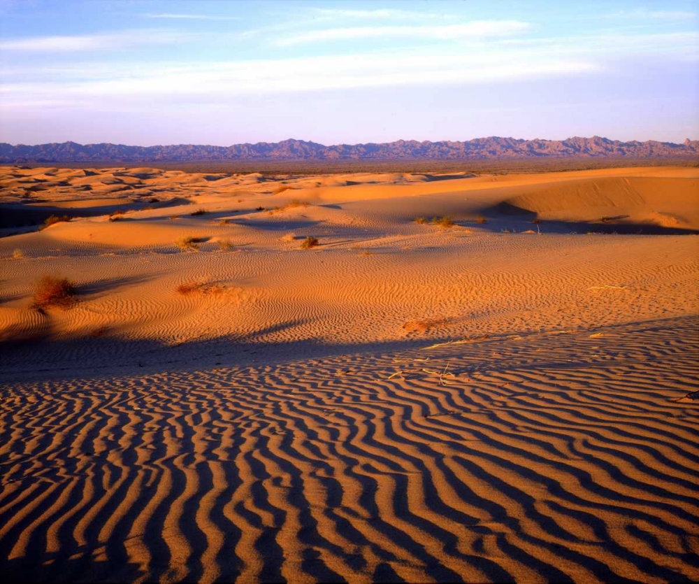 Wall Art Painting id:134887, Name: USA, California, Glamis Sand Dunes at Sunset, Artist: Talbot Frank, Christopher