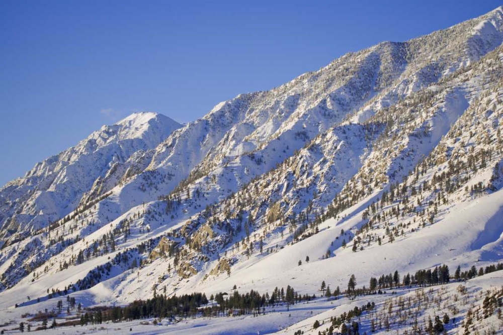 Wall Art Painting id:127414, Name: CA, Wheeler Crest in the Sierra Nevada, Artist: Flaherty, Dennis